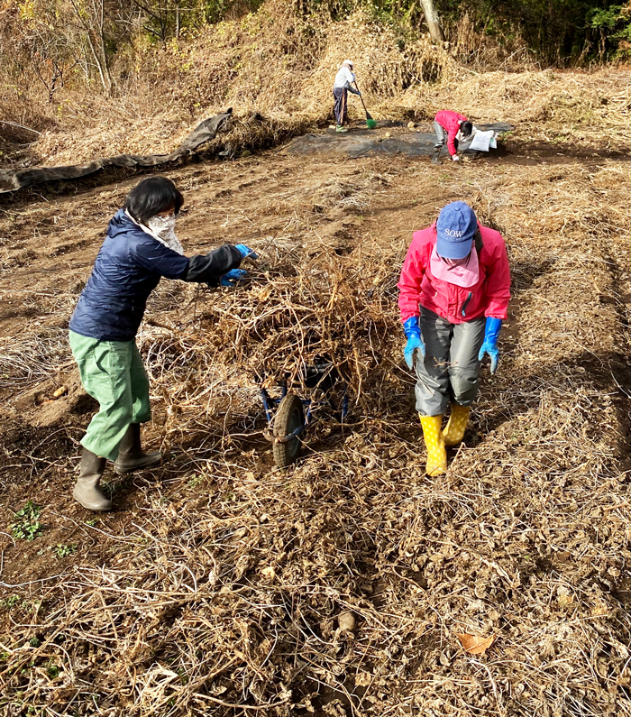 越冬後の農園のお手入れ作業