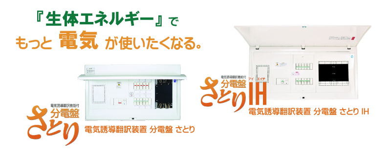 生体エネルギー 電気 さとり